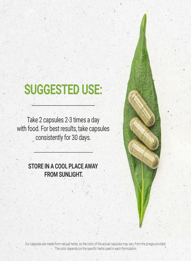 Secrets of the Tribe Yellow Dock 60 Capsules, 1000 mg, Yellow Dock (Rumex Crispus) Dried Root (60 Capsules) - Image 2