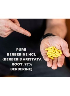MYOXCIENCE MYOXCIENCE Berberine Fasting Accelerator: Berberine HCL with ALA (Alpha Lipoic Acid) and Biotin, Capsule  - Image 3