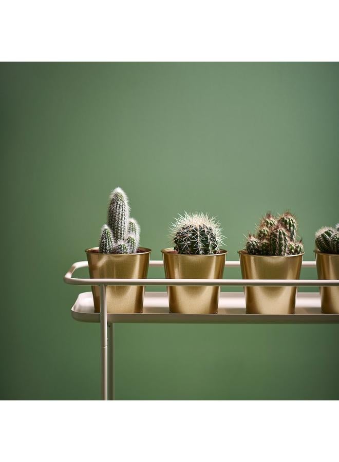 زبون وعاء نباتات، لون نحاسي، 12 سم - Image 4