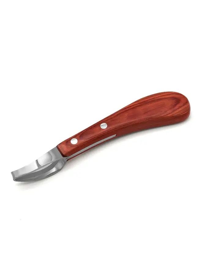 1 قطعة سكين تقليم حوافر ذات حدين مع مبراة مقبض خشبي أداة بيطري للخيول - Image 1