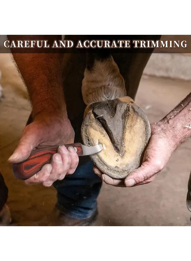 1 قطعة سكين تقليم حوافر ذات حدين مع مبراة مقبض خشبي أداة بيطري للخيول - Image 2