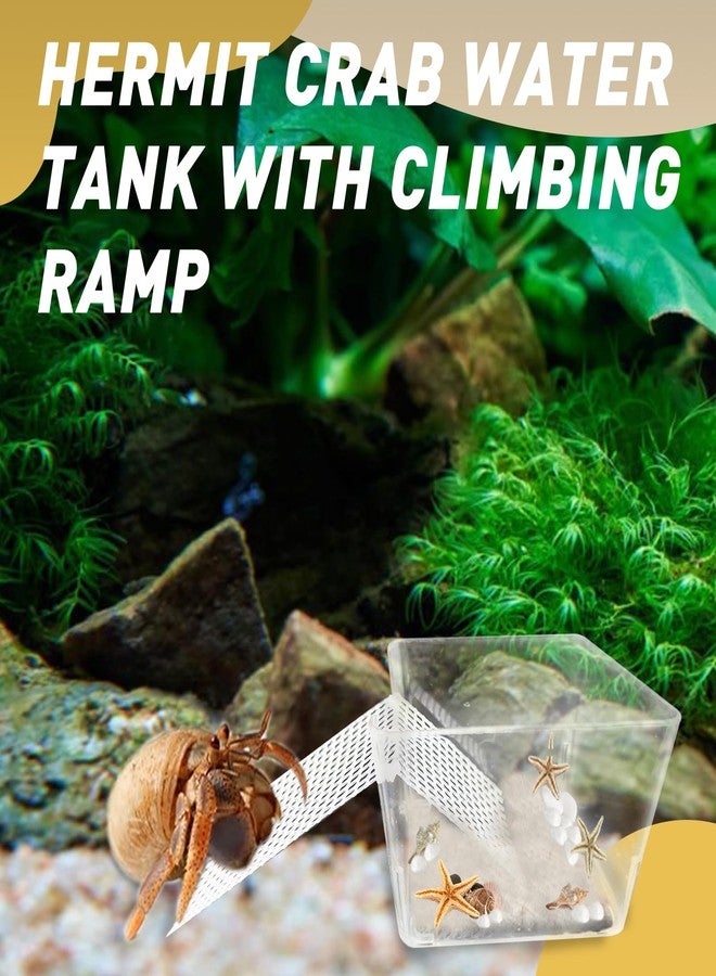 Iffitya 2 Packs Hermit Crab Pool - Ideal Hermit Crab Tank Combination - Pool with Cuttable Climbing Ramp - Image 5