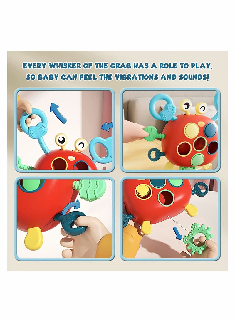 Y&D - Toddler Montessori Toys Sensory Fine Motor Skills for Kids Crab Educational Learning Birthday Boys Girl Gifts - Image 1