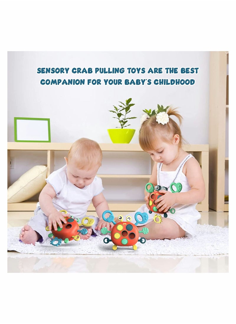 Y&D - Toddler Montessori Toys Sensory Fine Motor Skills for Kids Crab Educational Learning Birthday Boys Girl Gifts - Image 1