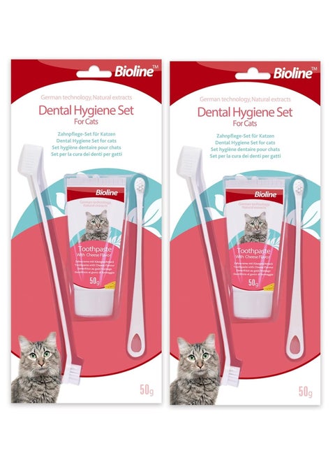 Dental Hygiene Set Cheese Flavor Toothpaste And Toothbrush For Cats 2X50g