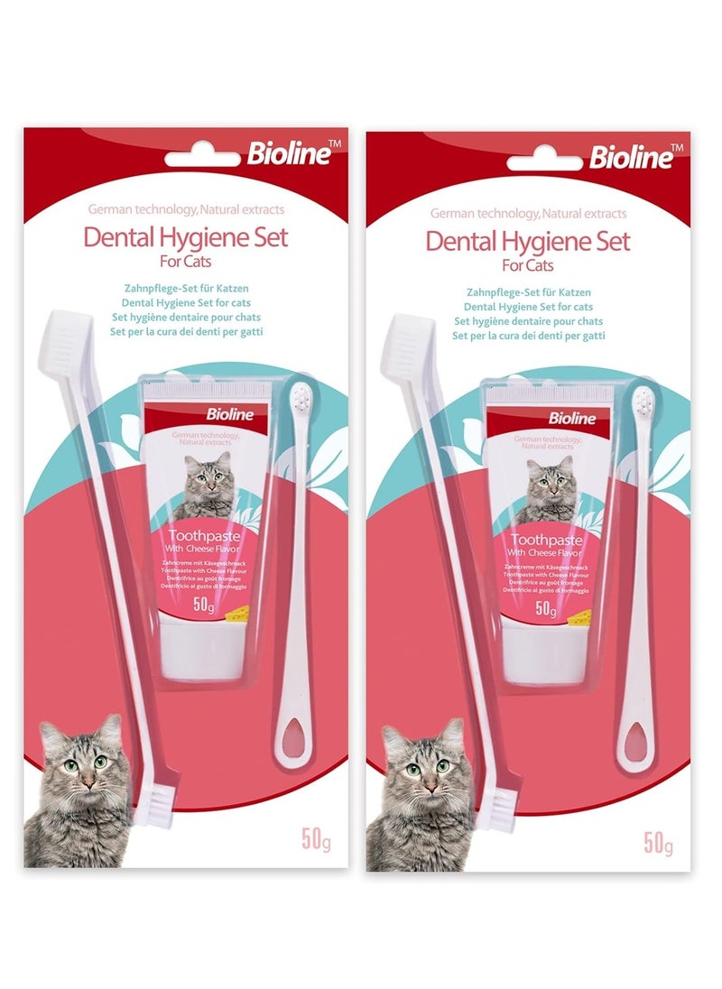 Dental Hygiene Set Cheese Flavor Toothpaste And Toothbrush For Cats 2X50g