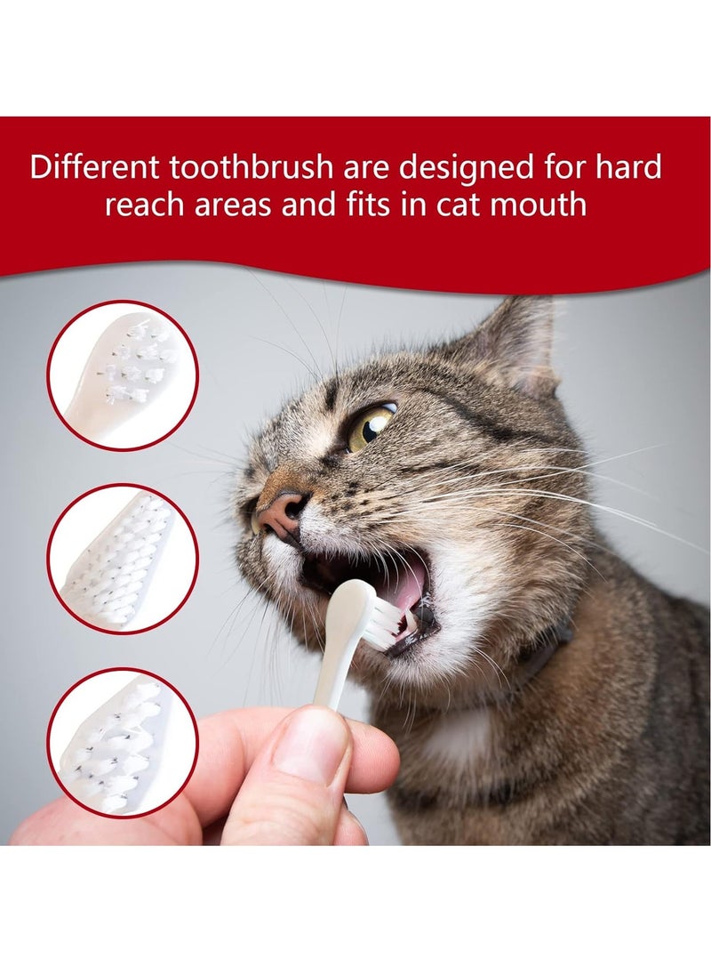 Dental Hygiene Set Cheese Flavor Toothpaste And Toothbrush For Cats 2X50g