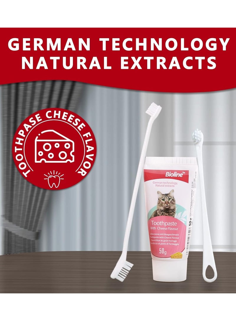 Dental Hygiene Set Cheese Flavor Toothpaste And Toothbrush For Cats 2X50g