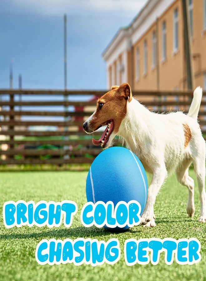 Banfeng Big Tennis Ball for Dogs, Giant Dog Tennis Ball Toy Large Outdoor Sports Gift for Small Medium Large Dog (Sky Blue, 9.5 inch) - Image 5