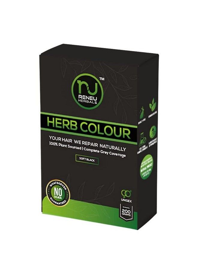 RENEU HERBALS - Herbal Hair Colour (200 Gm) Ppd Free Hair Colour For Women And Men I Hypo Allergic And Chemical Free Hair Color I Herbal Henna Hair Dye Black - Image 1
