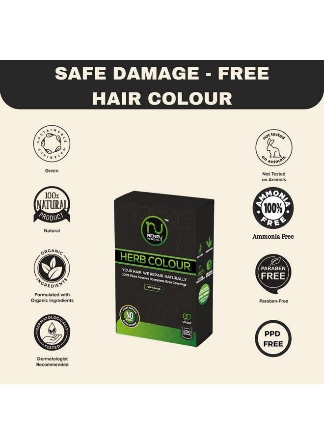RENEU HERBALS - Herbal Hair Colour (200 Gm) Ppd Free Hair Colour For Women And Men I Hypo Allergic And Chemical Free Hair Color I Herbal Henna Hair Dye Black - Image 1