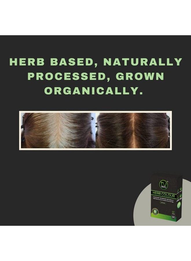 RENEU HERBALS - Herbal Hair Colour (200 Gm) Ppd Free Hair Colour For Women And Men I Hypo Allergic And Chemical Free Hair Color I Herbal Henna Hair Dye Black - Image 1