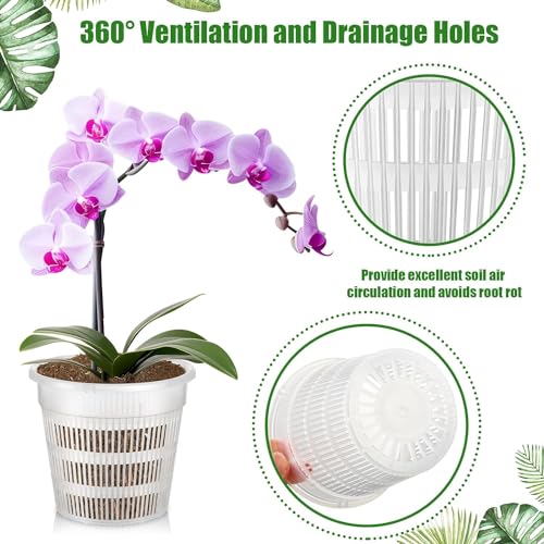 Tim Tim Agro Orchid Pot 8 inch Orchid Pots with Holes 12 Pcs Clear Plastic Orchid Pots Slotted Orchid Pots for Repotting Clear Nursery Pots Net Pots Plastic Flower Plant Pot Indoor Outdoor (8nch, 12pcs) - Image 3