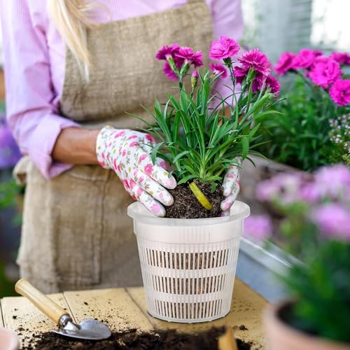 Tim Tim Agro Orchid Pot 8 inch Orchid Pots with Holes 12 Pcs Clear Plastic Orchid Pots Slotted Orchid Pots for Repotting Clear Nursery Pots Net Pots Plastic Flower Plant Pot Indoor Outdoor (8nch, 12pcs) - Image 2