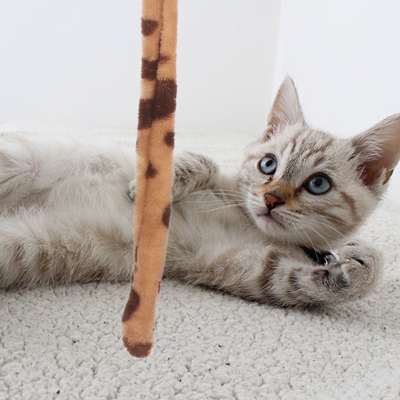 Cat Stick Kitten Teasing Plush Leopard Tail Cat Teaser - Image 3