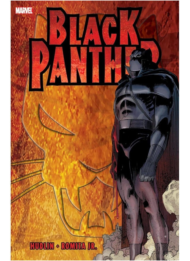 Marvel Comics Black Panther: Who Is The Black Panther 
