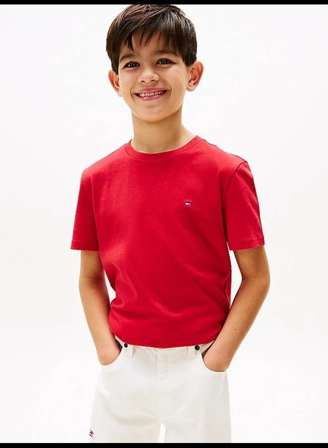 TOMMY HILFIGER Kids 2 Pack Short Sleeve T-Shirt