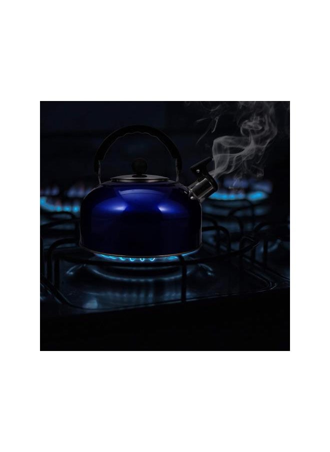 WYBOT - Whistling Tea Kettle Stove Top Stainless Steel Teapot Water Kettle Coffee Kettle Tea Maker with Handle for Home Outdoor Camping Hiking Blue - Image 1