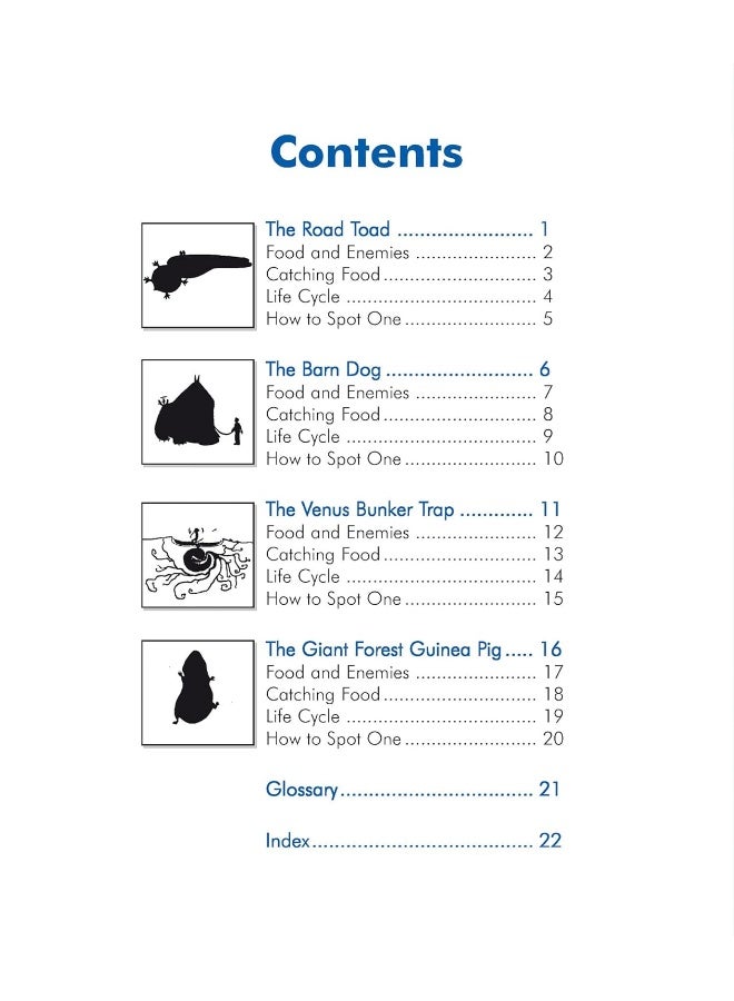KS2 Monsters from the Country Reading Book - Image 3