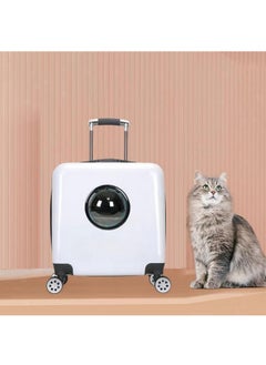 Cat Trolley Case Backpack Traveling Travel Tote Hiking Rabbit Cage For Puppy White Colour - pzsku/Z543EFE5CE297F4BF6BEAZ/45/_/1728309526/5f573100-50f3-4f98-8740-07157fa5b88c