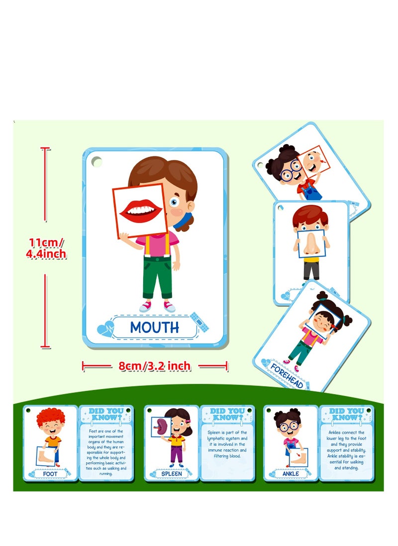 Y&D - 36 Pcs Body Cognition Education Card Children's Enlightenment Early Education Parent-Child Educational Toys - Image 1