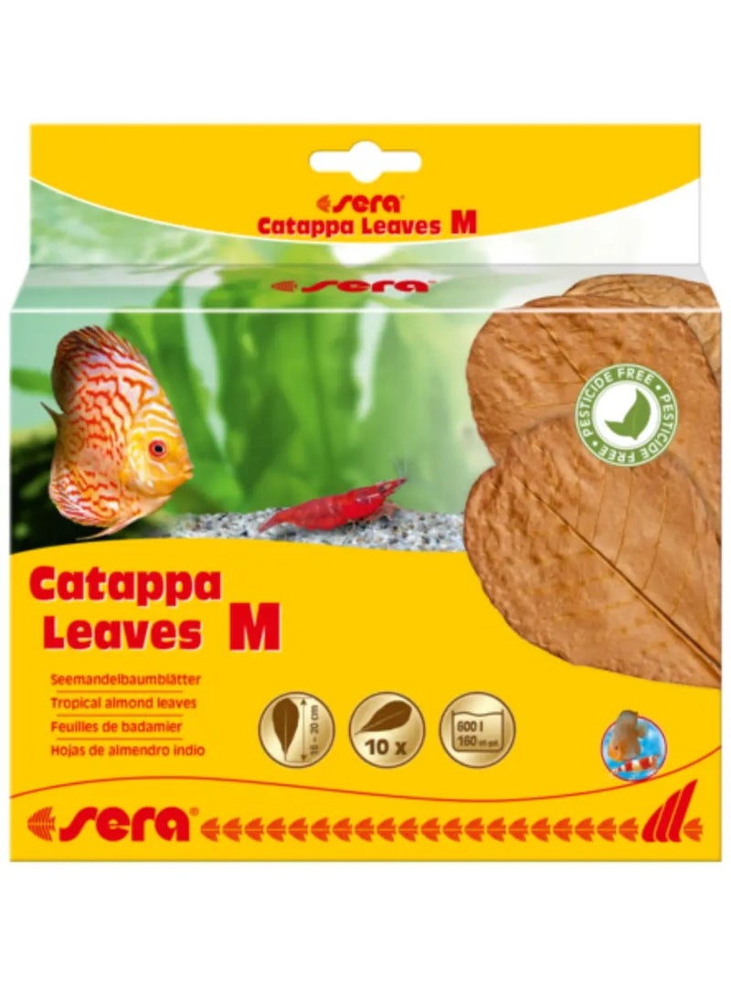 Sera - Catappa Leaves - Size S - 10pcs