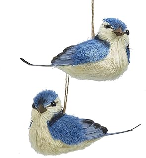 Kurt S. Adler Kurt S. Adler Blue Jay Sisal Bird Ornaments, 2 Assorted - Image 1