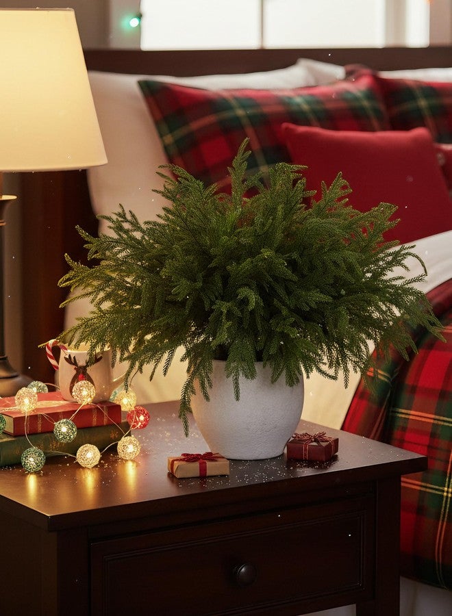 MISSPIN 12 Pcs 19.5 Inches Christmas Norfolk Pine Branches, Norfolk Pine Artificial Christmas Branches DIY Crafts Faux Pine Branches for Xmas Indoor Outdoor Home Decor - Image 4