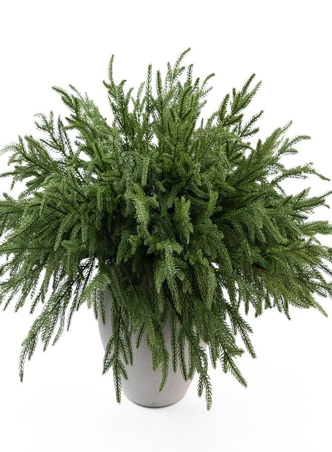 MISSPIN 12 Pcs 19.5 Inches Christmas Norfolk Pine Branches, Norfolk Pine Artificial Christmas Branches DIY Crafts Faux Pine Branches for Xmas Indoor Outdoor Home Decor - Image 1