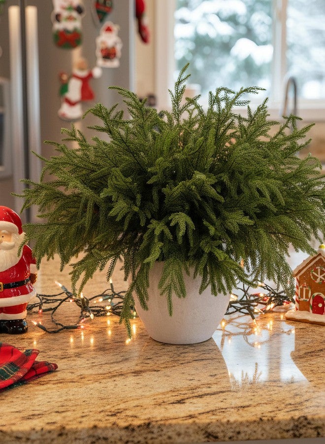 MISSPIN 12 Pcs 19.5 Inches Christmas Norfolk Pine Branches, Norfolk Pine Artificial Christmas Branches DIY Crafts Faux Pine Branches for Xmas Indoor Outdoor Home Decor - Image 3
