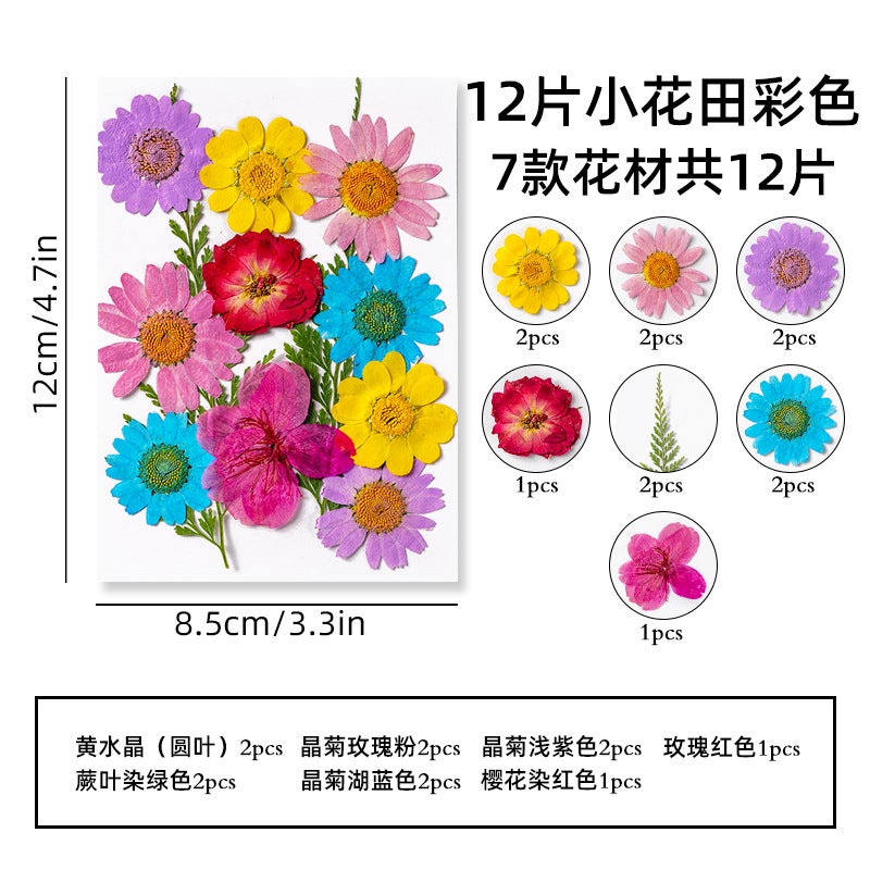 Postcard Retro Ins Style Scenery Healing Dreamy Artistic Dried Flower Greeting Card Illustration Christmas Gift Message Wall - Image 1