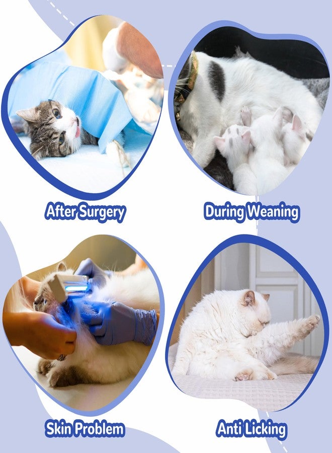 بوماي بوريتي بدلة تعافي للقطط من بوميبوريتي للأرجل الخلفية، بدلة جراحية للقطط بعد عملية التعقيم مع أكمام للأرجل لمنع اللعق، غطاء جرح بأكمام خلفية طويلة، بدلة قطعة واحدة للقطط الصغيرة، أزرق، مقاس XL - Image 5