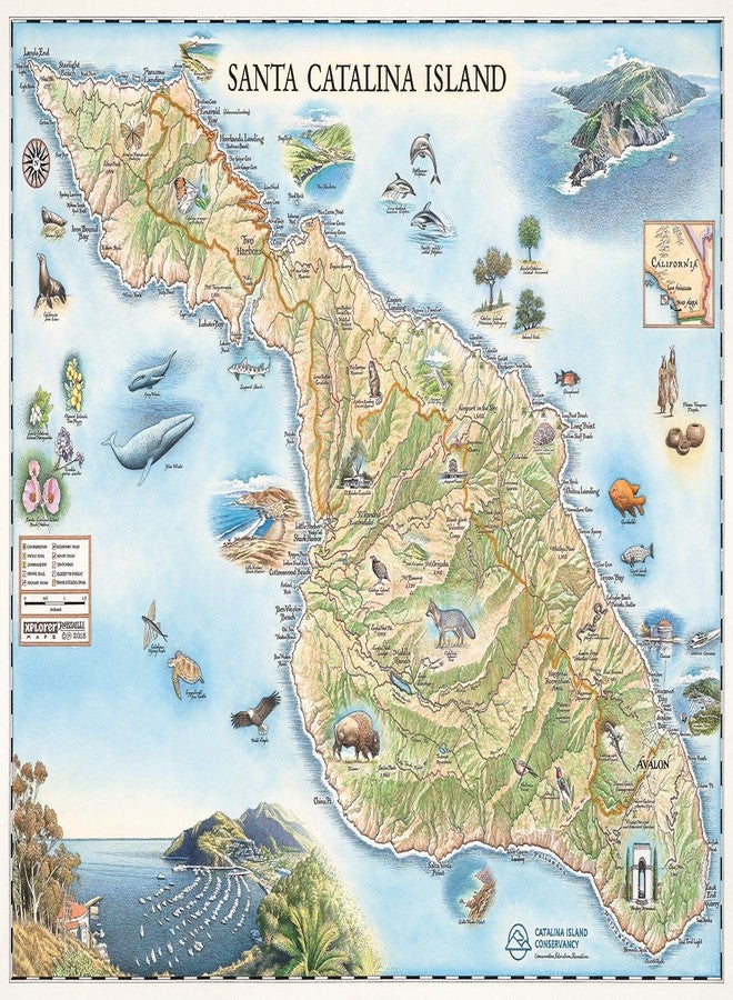 Xplorer Maps Santa Catalina Island Map Poster - 24x18 Vintage-Style Lithographic Print with Soy-Based Inks - Unique Gift for Travelers, Teachers, History Buffs - Made in USA - Image 1
