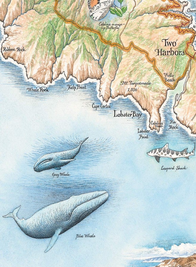 Xplorer Maps Santa Catalina Island Map Poster - 24x18 Vintage-Style Lithographic Print with Soy-Based Inks - Unique Gift for Travelers, Teachers, History Buffs - Made in USA - Image 3