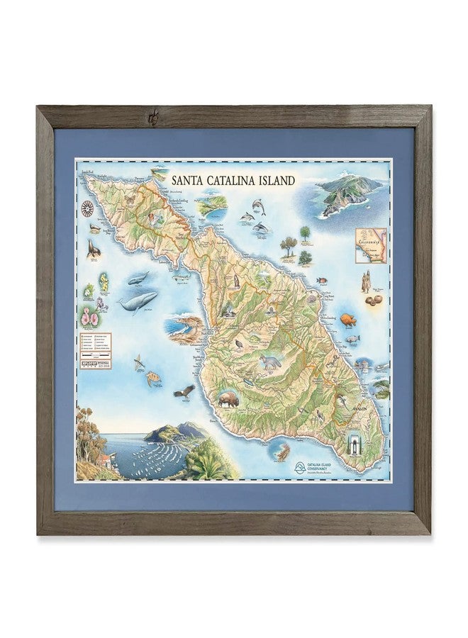 Xplorer Maps Santa Catalina Island Map Poster - 24x18 Vintage-Style Lithographic Print with Soy-Based Inks - Unique Gift for Travelers, Teachers, History Buffs - Made in USA - Image 2