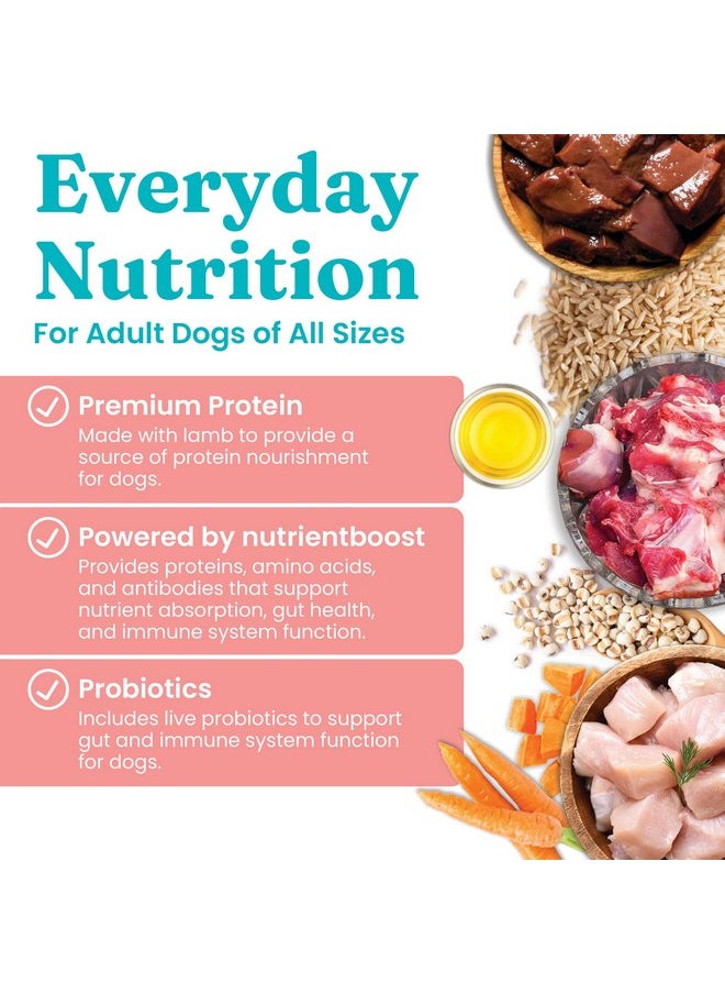 solid gold - Solid Gold Canned Dog Food for Adult & Senior Dogs - Nutrientboost Hund-N-Flocken Made with Real Lamb and Healthy Whole Grains - High Calorie, High Protein Wet Dog Food - 6ct/12.5oz Cans - Image 1