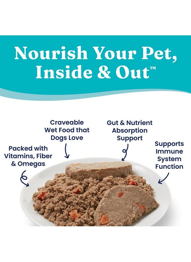 solid gold - Solid Gold Canned Dog Food for Adult & Senior Dogs - Nutrientboost Hund-N-Flocken Made with Real Lamb and Healthy Whole Grains - High Calorie, High Protein Wet Dog Food - 6ct/12.5oz Cans - Image 1