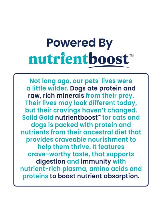 solid gold - Solid Gold Canned Dog Food for Adult & Senior Dogs - Nutrientboost Hund-N-Flocken Made with Real Lamb and Healthy Whole Grains - High Calorie, High Protein Wet Dog Food - 6ct/12.5oz Cans - Image 1