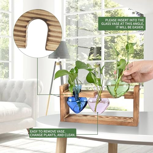MTsigns Plant Terrarium Propagation Stations Hydroponics Home Garden Decoration Gift for Women with Wooden Stand Heart Shaped Colored Glass Vase - Image 2