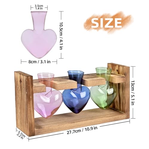 MTsigns Plant Terrarium Propagation Stations Hydroponics Home Garden Decoration Gift for Women with Wooden Stand Heart Shaped Colored Glass Vase - Image 4