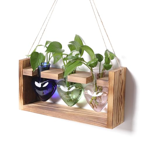 MTsigns Plant Terrarium Propagation Stations Hydroponics Home Garden Decoration Gift for Women with Wooden Stand Heart Shaped Colored Glass Vase - Image 1