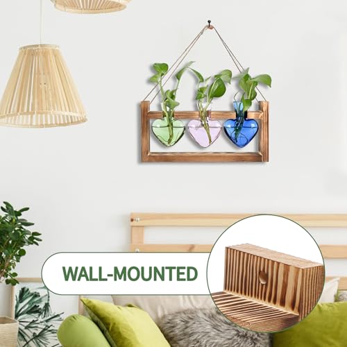 MTsigns Plant Terrarium Propagation Stations Hydroponics Home Garden Decoration Gift for Women with Wooden Stand Heart Shaped Colored Glass Vase - Image 3