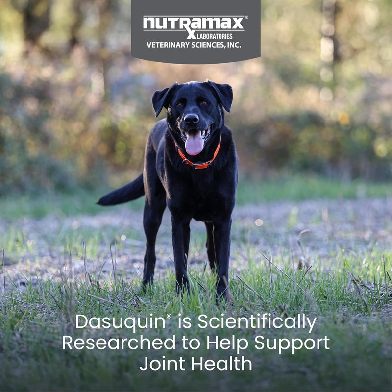 Nutramax Laboratories Dasuquin Joint Health Supplement for Large Dogs - 84 Chewable Tablets - Image 2