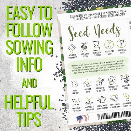 Seed Needs Rue Seeds for Planting - Non-GMO Heirloom & Untreated Perennial Herb Seed to Plant a Home Grown Medicinal Garden Indoors or Outdoors (2 Packs) - Image 3