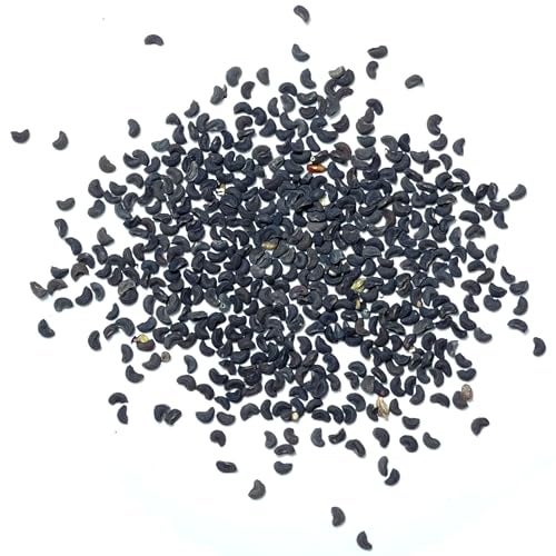 Seed Needs Rue Seeds for Planting - Non-GMO Heirloom & Untreated Perennial Herb Seed to Plant a Home Grown Medicinal Garden Indoors or Outdoors (2 Packs) - Image 5