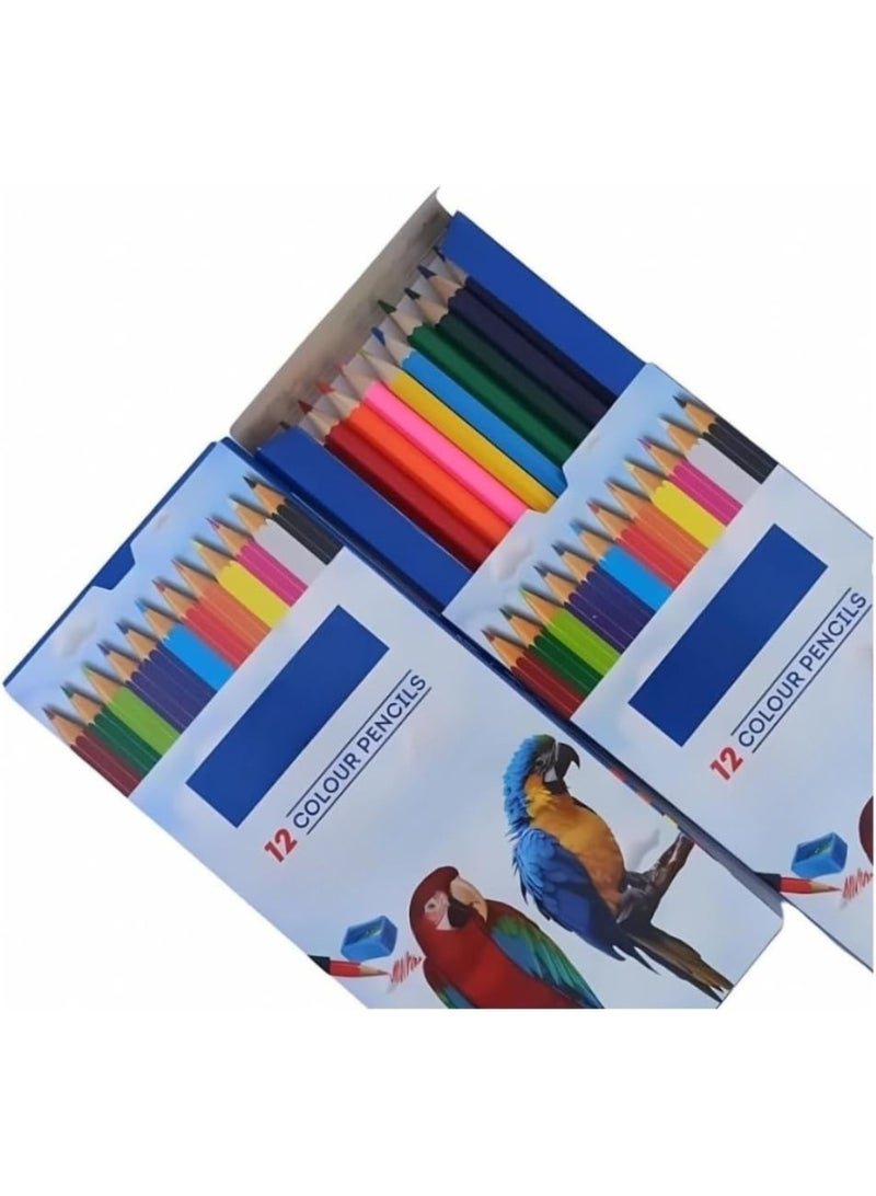 دومس علبة ألوان خشب كبيرة 12 لون – أقلام تلوين عالية الجودة - Image 1