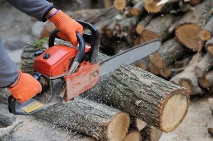 Sauran 62cc 22" Petrol Chainsaw With Warranty of 6 Months (Wood Cutting Machine) - Image 3