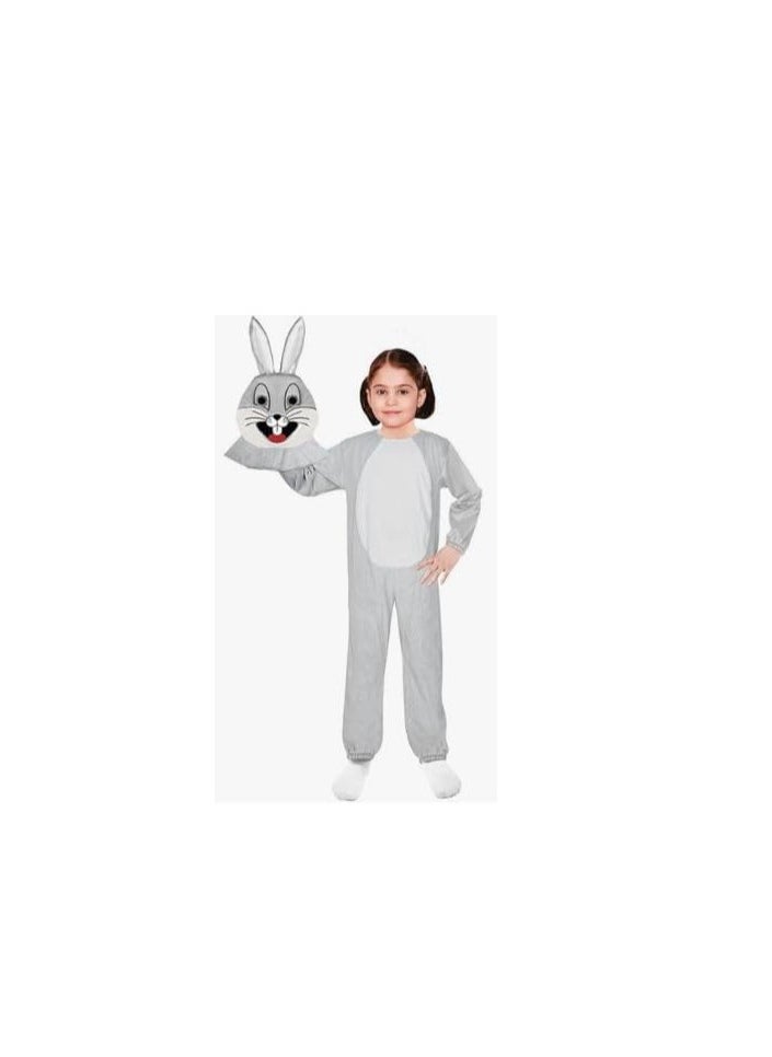 Oulabi Mir - Costume Rabbit Polar Silver 4-5 Years Old - Image 1