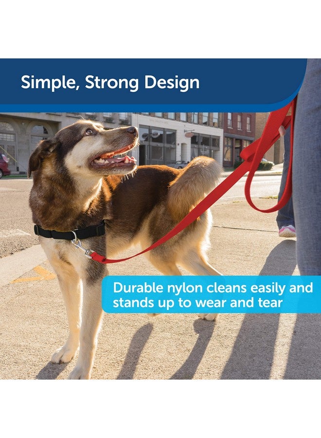 PetSafe Nylon Dog Leash - Strong, Durable, Traditional Style Leash with Easy to Use Bolt Snap - 1" x 6', Red - Image 4
