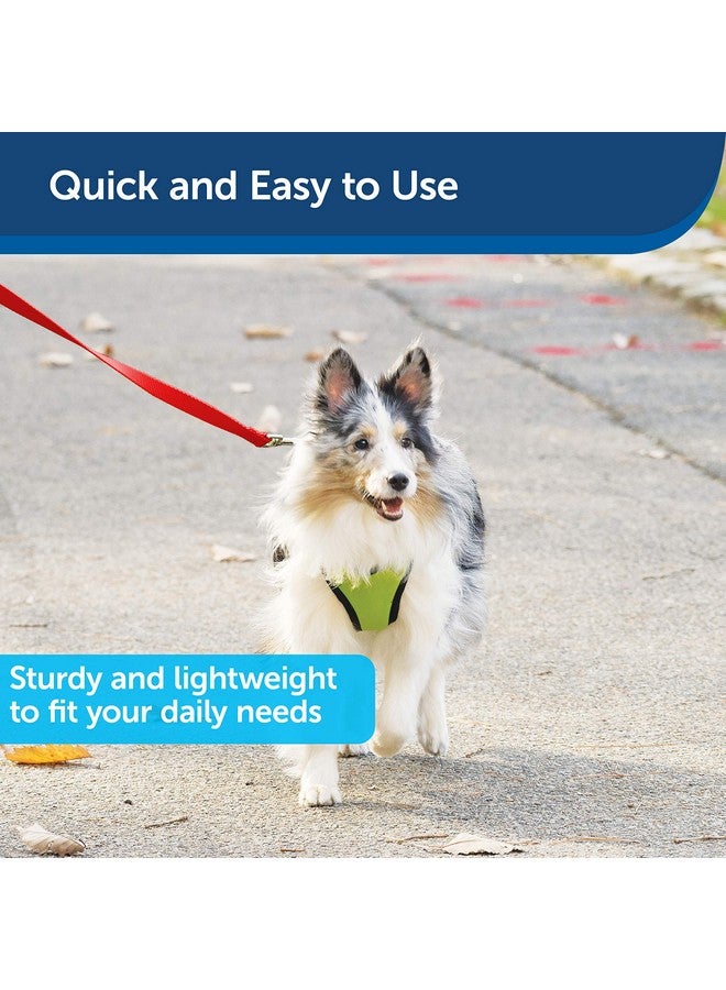 PetSafe Nylon Dog Leash - Strong, Durable, Traditional Style Leash with Easy to Use Bolt Snap - 1" x 6', Red - Image 3